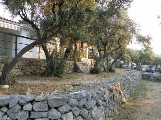 Bungalows Village Stara Gavza - Photo2