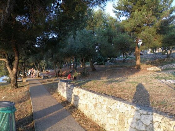 Bungalows Village Stara Gavza - Photo5