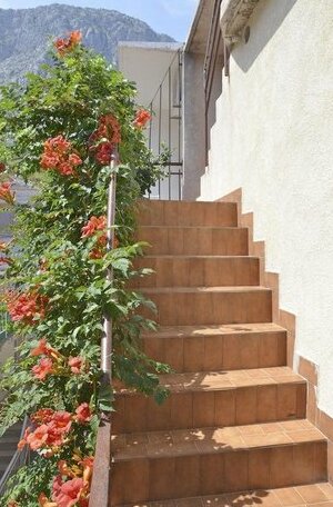 Apartments Soline - Photo2
