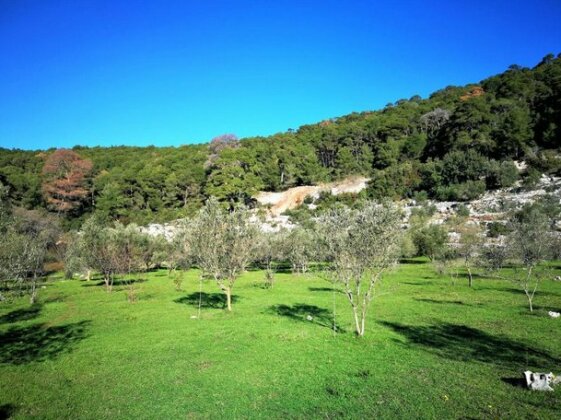 Agriculture & Holiday house Lasko - Photo2
