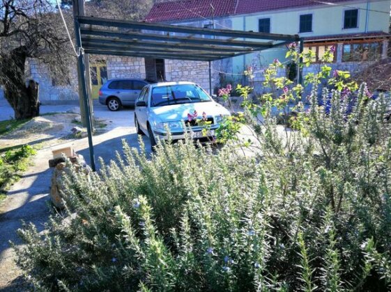 Agriculture & Holiday house Lasko - Photo4