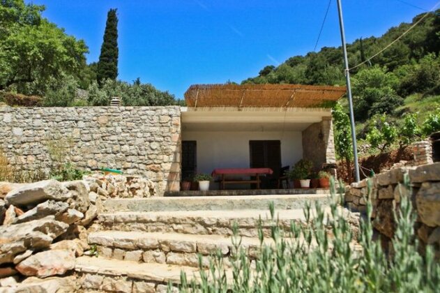 Robinson Apollon - Photo2