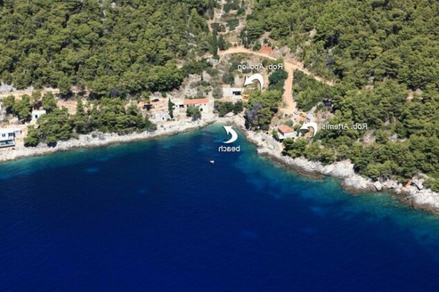 Robinson Apollon - Photo4