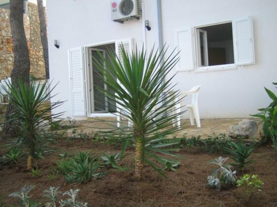 Apartmani Kir - Photo3