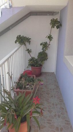 Apartments Borcic - Photo3