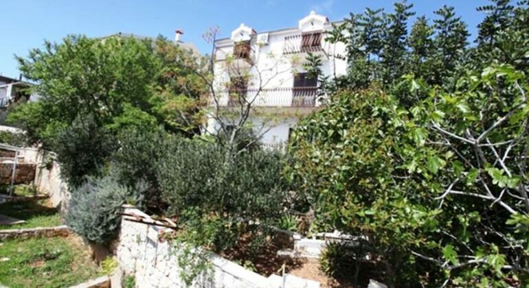 Apartments Petricevic - Photo3