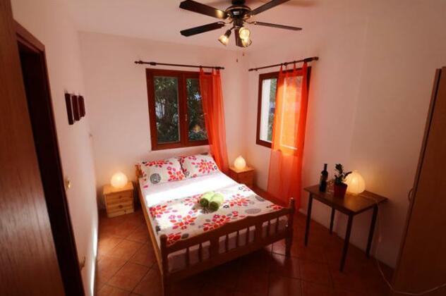 Green Lizard Hostel - Photo5