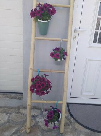 Apartment Ban - Photo5