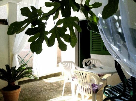 Apartments Lola - Photo3