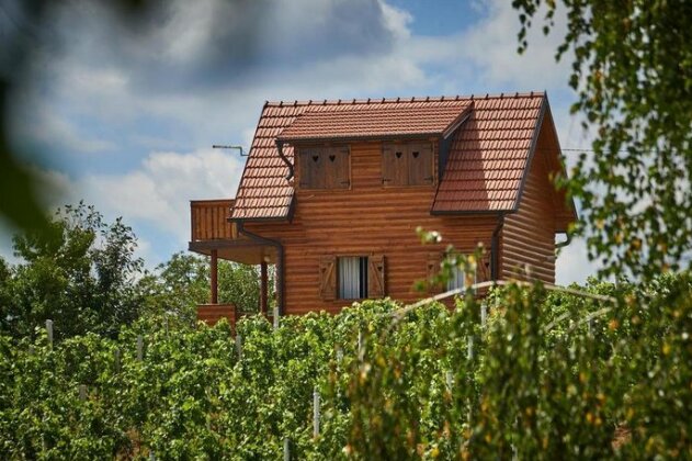 Holiday home Seoski Turizam Pirak