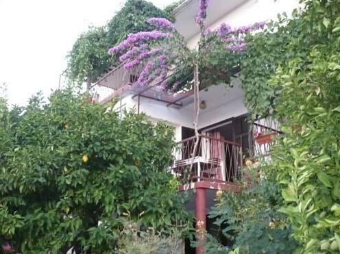 Rooms Slobodanka - Photo2