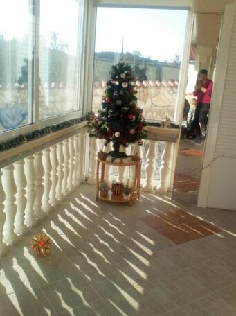 Villa Palfi - Photo4