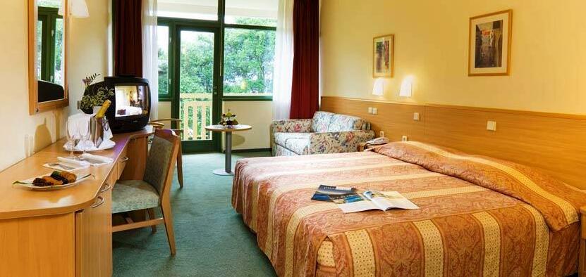 Hotel Sol Aurora for Plava Laguna - Photo5