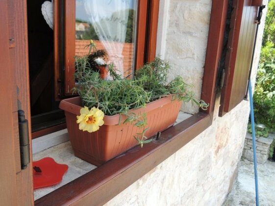 House Zrno - Photo2