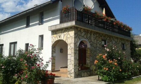 Guest house Ruza