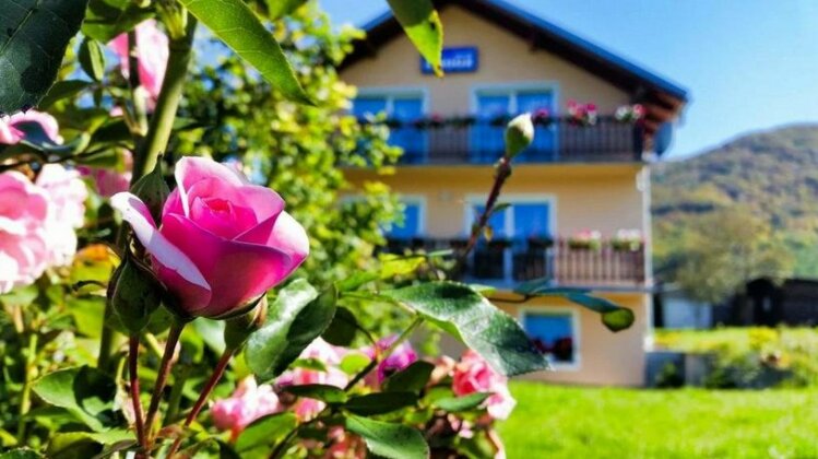 Guest House Toic - Photo2