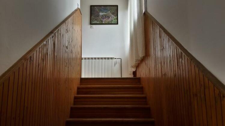 House Petkovic - Photo3
