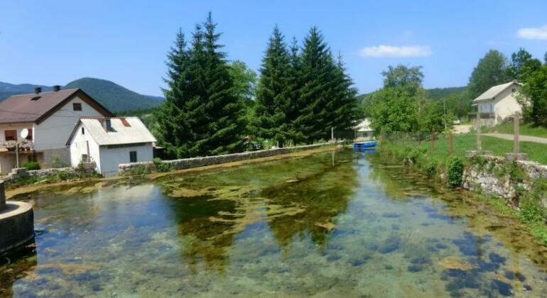 Pansion Izvor