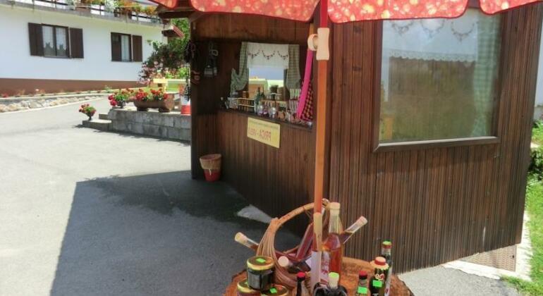 Pansion Izvor - Photo4