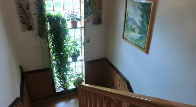 Pansion Izvor - Photo5