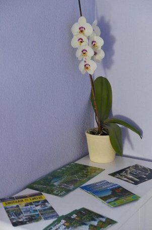 Rooms Magdic - Photo3
