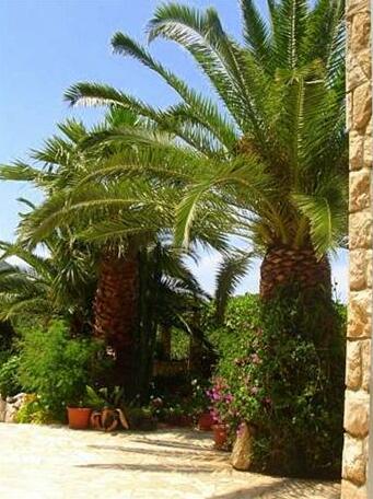 Villa Radulj - Photo5