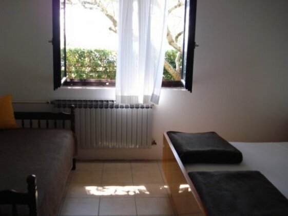 Olive tree garden - near the sea - Photo3