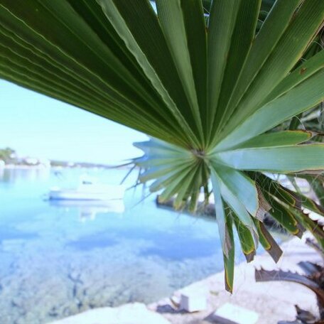 Rooms Marijana - Photo4