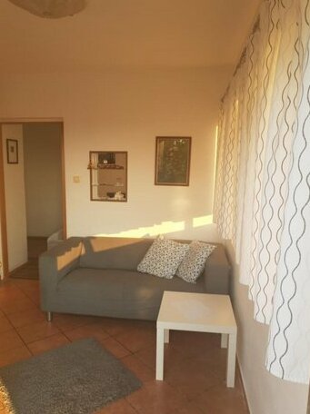 Apartments Lola Mandre - Photo2