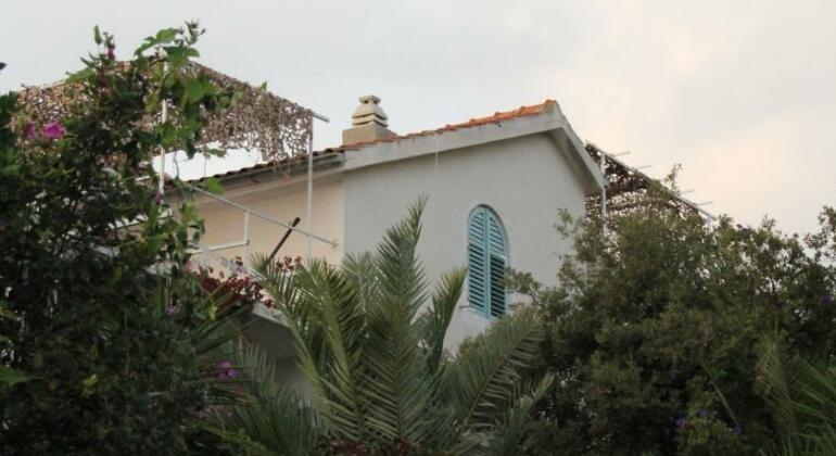 Holiday Home Maslinica - Photo3