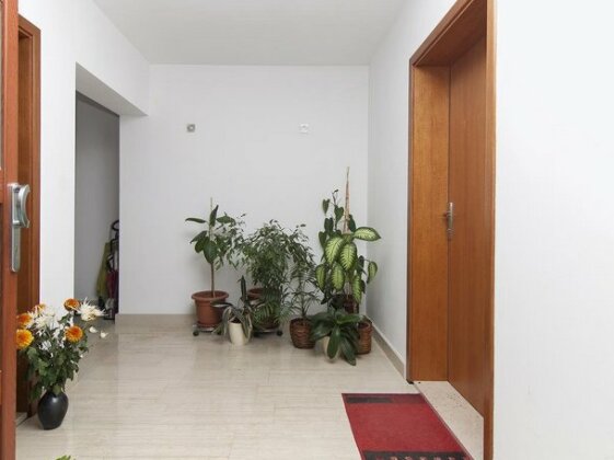 Apartments Levan 153 - Photo2