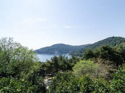 Apartments Sentic - Photo4