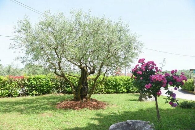 Apartman Luma - Photo3