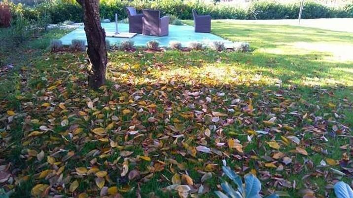 Villa Perhat - Photo3