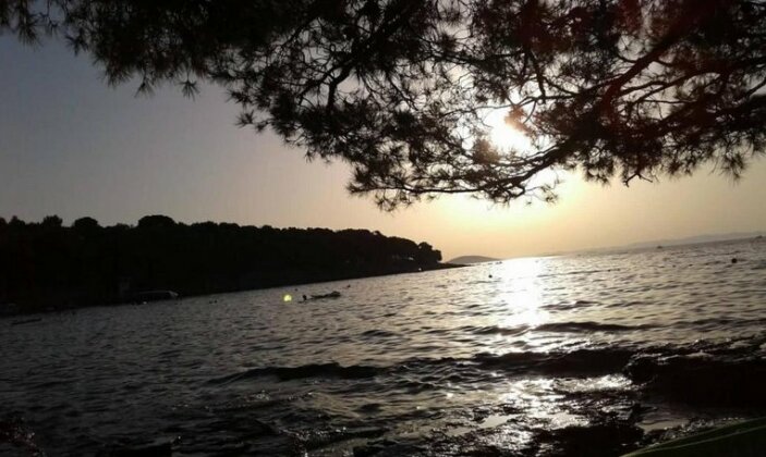 Apartmani Ivandic - Photo4