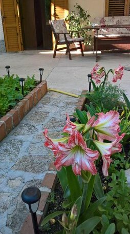Apartmani Rukonic Aleksandar - Photo2