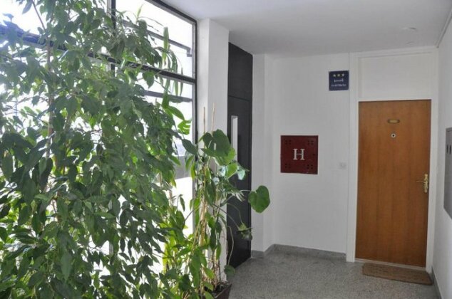 Domenica Omis - Photo5