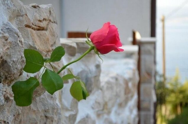 Holiday Villa in Omis - Photo5