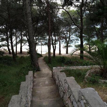 Apartman Drage Pakostane - Photo4