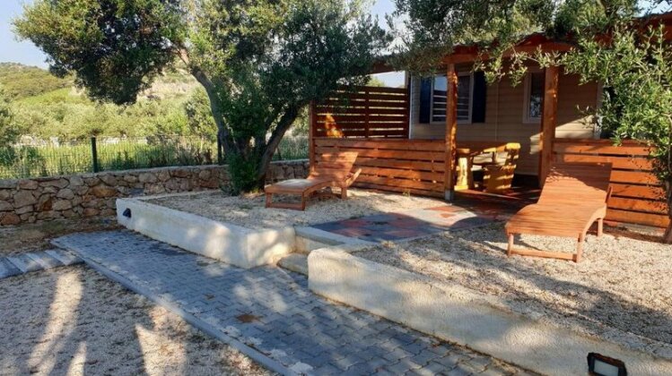 Camp Maslina - Photo4