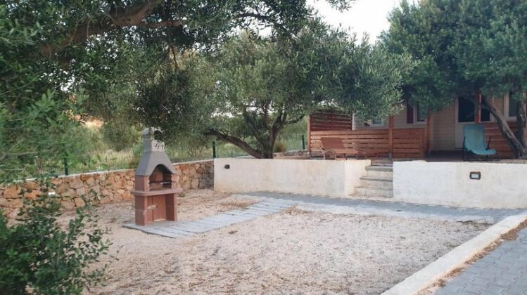 Camp Maslina - Photo5