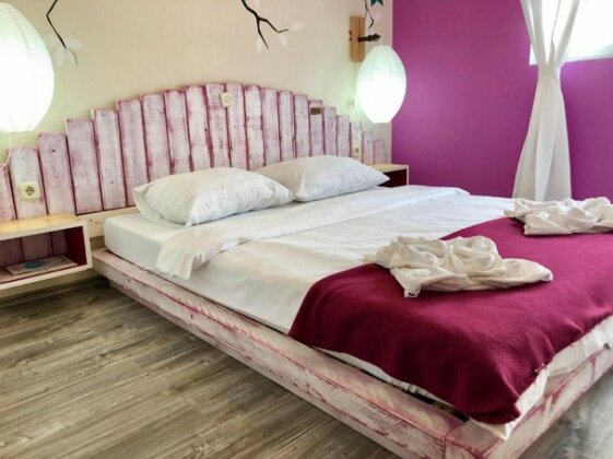  Photo 2