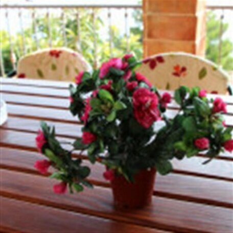 Haus Mate - Photo2