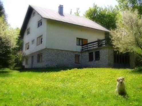 House Dado - Photo3