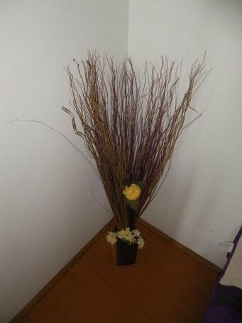 Rooms Ivanka - Photo2
