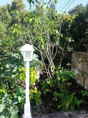 Guest House Aloha - Photo4