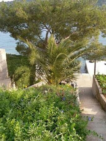 Guest House Radulj - Photo4