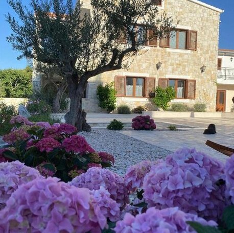 Villa Ludilo - Photo3