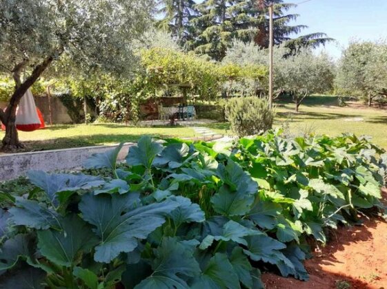 Apartmens Jokic - Photo5