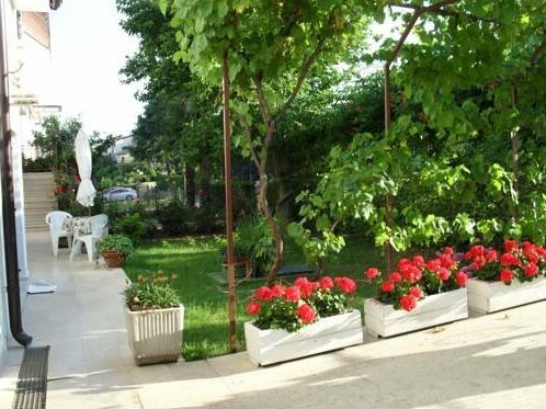 Apartments Franceschi - Photo5